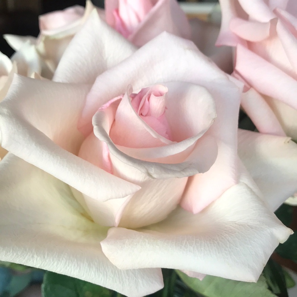 Meet your Posher, Wendi